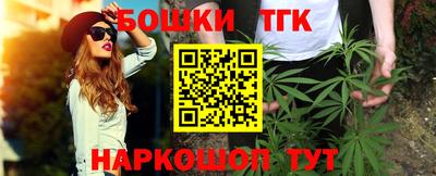 индика Моздок
