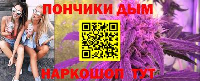 индика Моздок